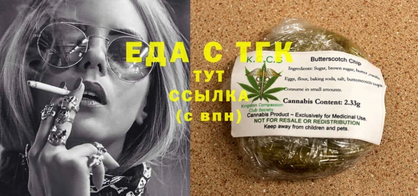 индика Алексин