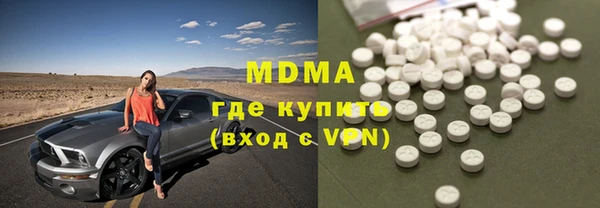 индика Алексин