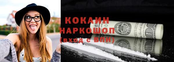 индика Алексин