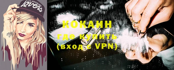 индика Алексин