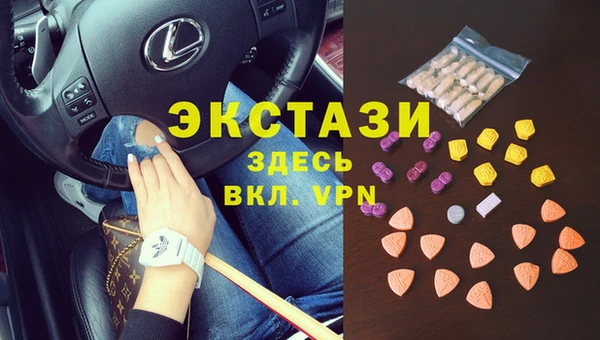 индика Алексин
