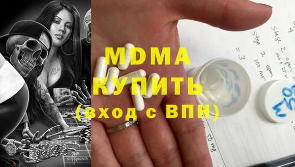 индика Алексин