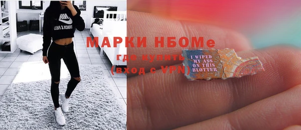 индика Алексин