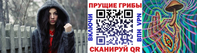 что такое   Лебедянь  Псилоцибиновые грибы Magic Shrooms 